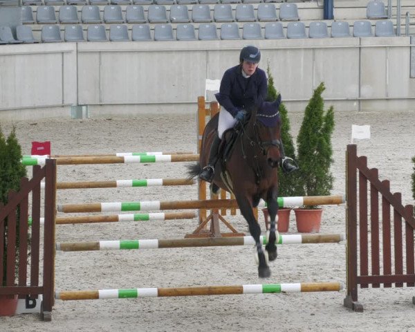 Reitturnier Aachen-Soers 2022