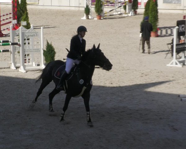 Reitturnier Aachen-Soers 2022