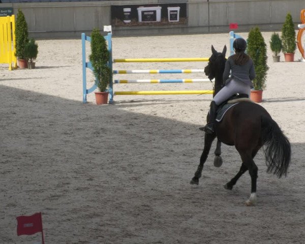 Reitturnier Aachen-Soers 2022