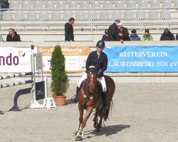 Reitturnier Aachen-Soers 2022