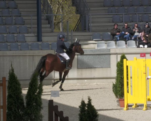 Reitturnier Aachen-Soers 2022
