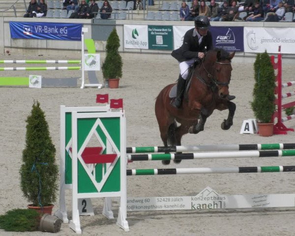 Reitturnier Aachen-Soers 2022