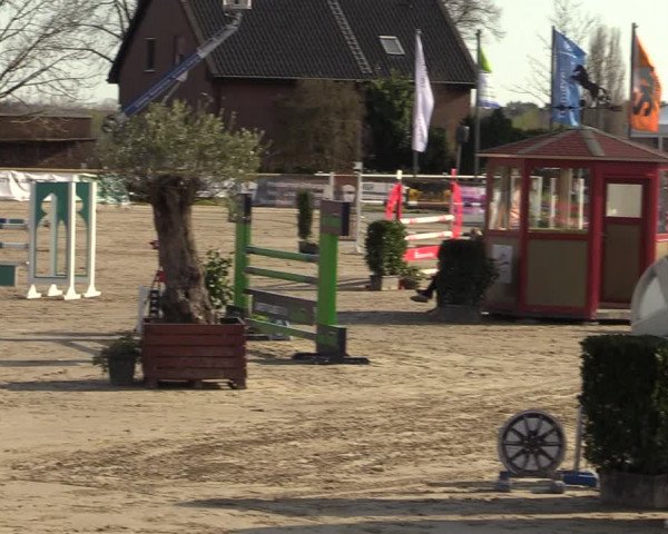 Reitturnier Werne-Lenklar 2022