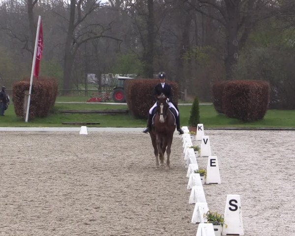 Reitturnier Münster-Handorf 2022