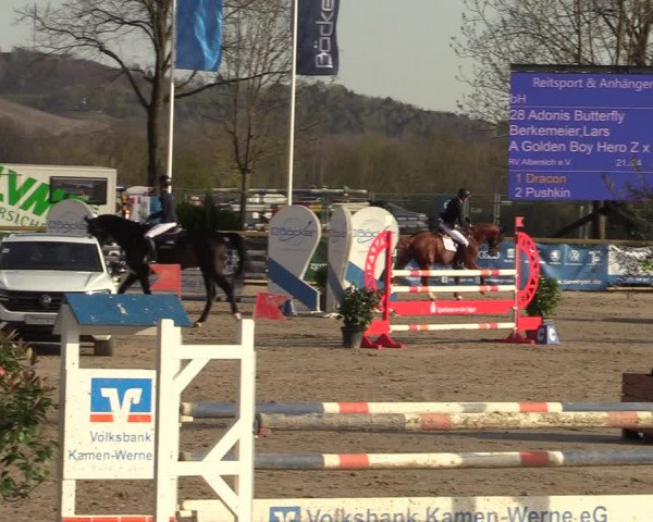 Lenklarer Reitertage 2022 (Werne)