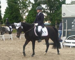 dressage horse Mona 382 (German Riding Pony, 1992)