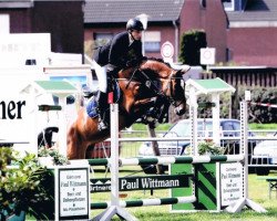 broodmare Miss Zavall (KWPN (Royal Dutch Sporthorse), 2009, from Zavall VDL)