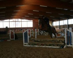 jumper Camillo's Caspa (Westphalian, 2008, from Contello)