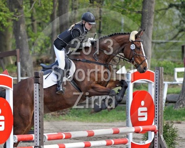 jumper Cordial D (Westphalian, 2003, from Conterno Grande)