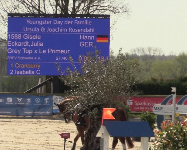 Lenklarer Reitertage 2022 (Werne)
