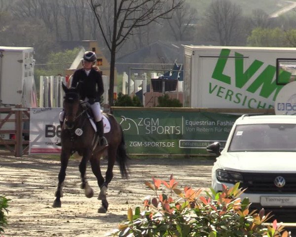 Reitturnier Werne-Lenklar 2022