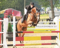 Springpferd Checker 43 (Westfale, 2008, von Cayetano L)