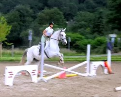 Springpferd Pepino 159 (Westfale, 2001, von Pik Labionics)