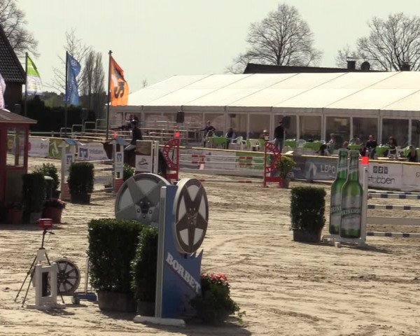 Reitturnier Werne-Lenklar 2022