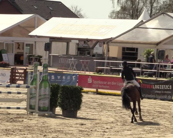 Lenklarer Reitertage 2022 (Werne)