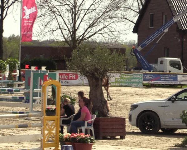 Reitturnier Werne-Lenklar 2022