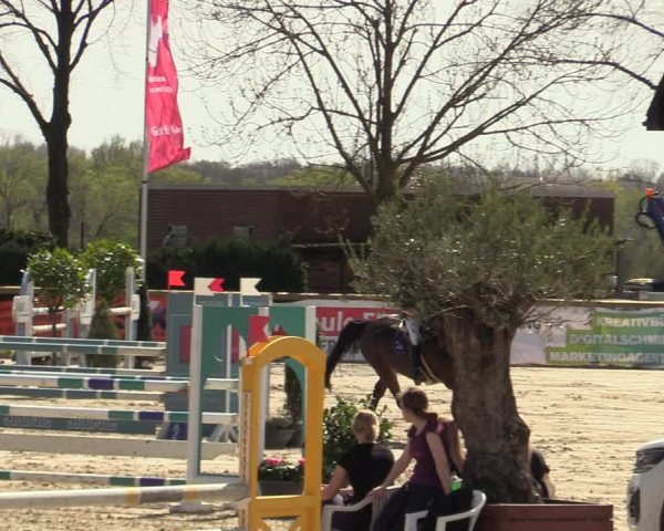 Lenklarer Reitertage 2022 (Werne)