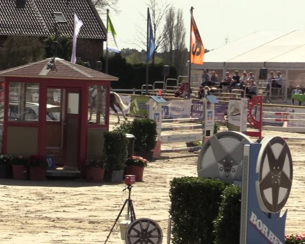 Lenklarer Reitertage 2022 (Werne)