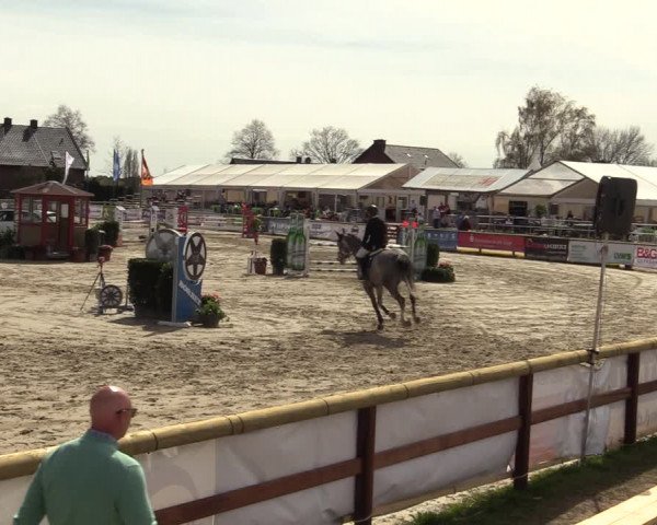 Lenklarer Reitertage 2022 (Werne)