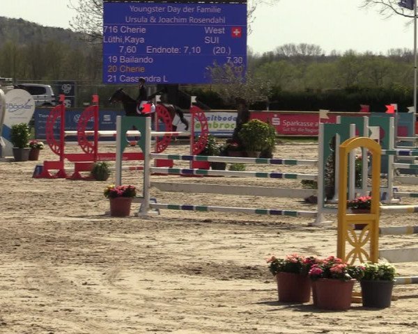 Reitturnier Werne-Lenklar 2022