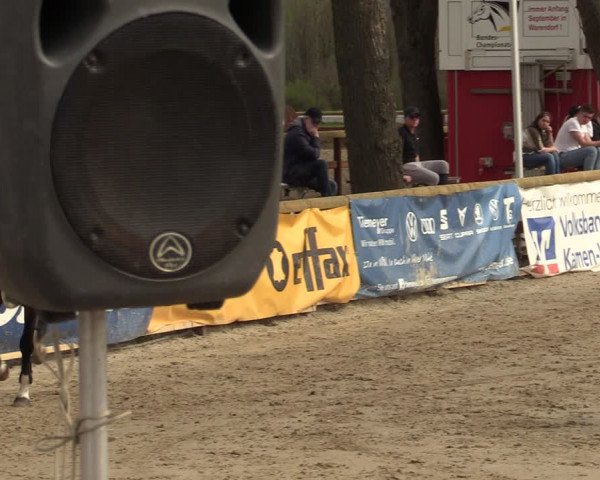 Lenklarer Reitertage 2022 (Werne)
