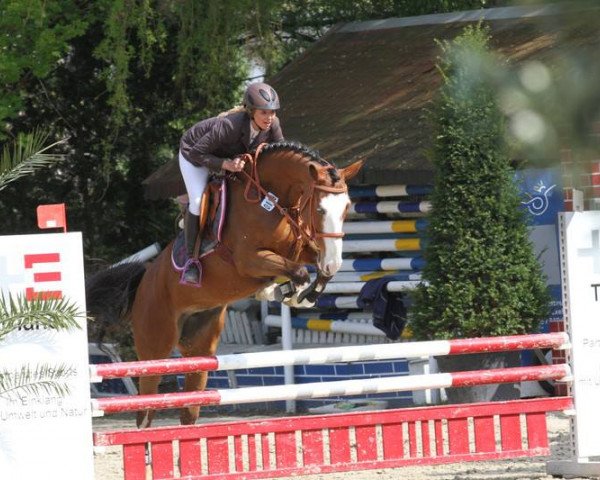 Zuchtstute Cassiona Gl (Westfale, 2008, von Capo Cassione)