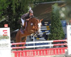 Zuchtstute Cassiona Gl (Westfale, 2008, von Capo Cassione)