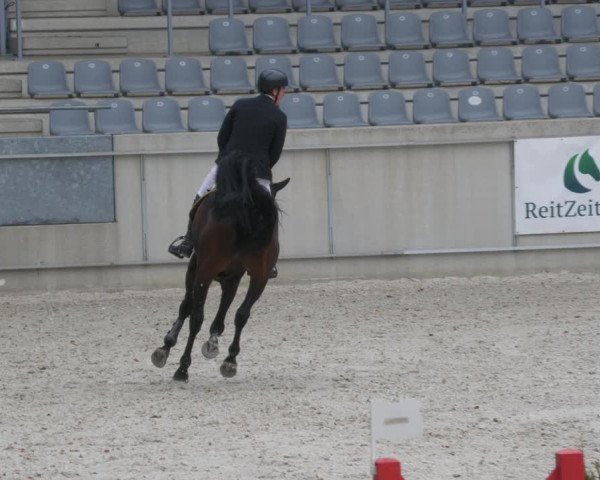 Reitturnier Aachen-Soers 2022