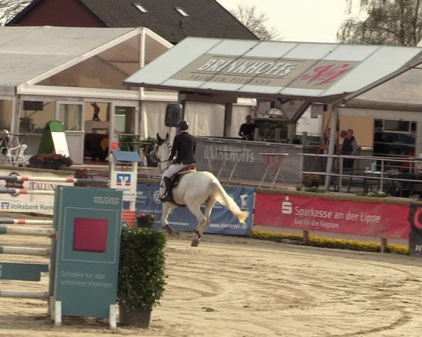 Lenklarer Reitertage 2022 (Werne)