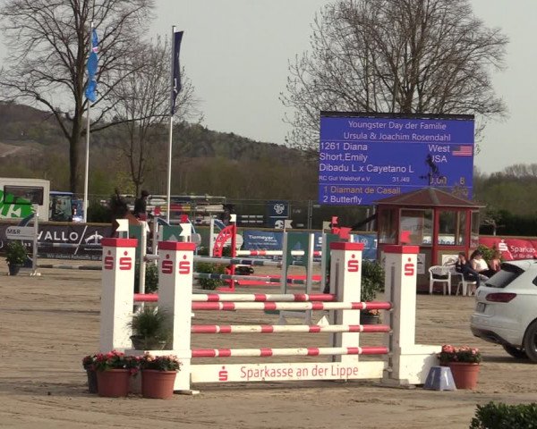 Lenklarer Reitertage 2022 (Werne)