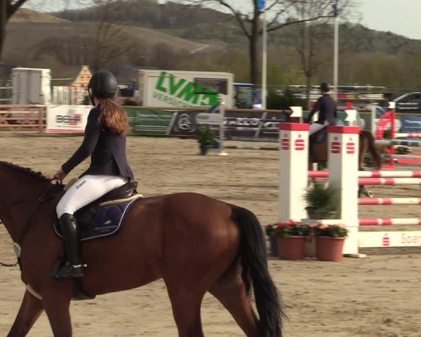 Reitturnier Werne-Lenklar 2022