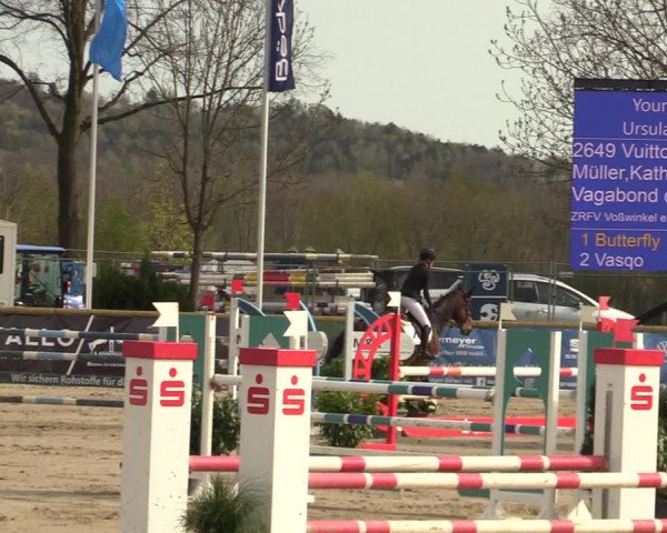 Lenklarer Reitertage 2022 (Werne)