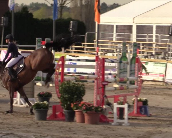 Reitturnier Werne-Lenklar 2022