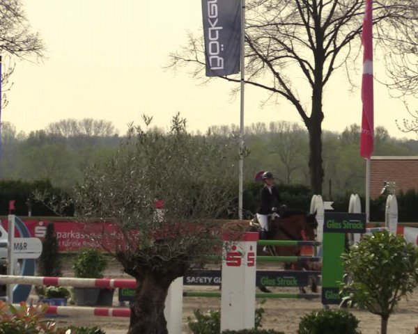 Lenklarer Reitertage 2022 (Werne)