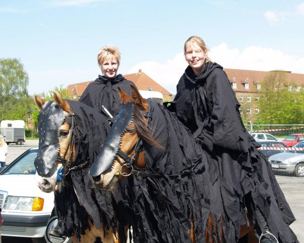 horse Gala (Freiberger, 1995, from Eidgenoss)