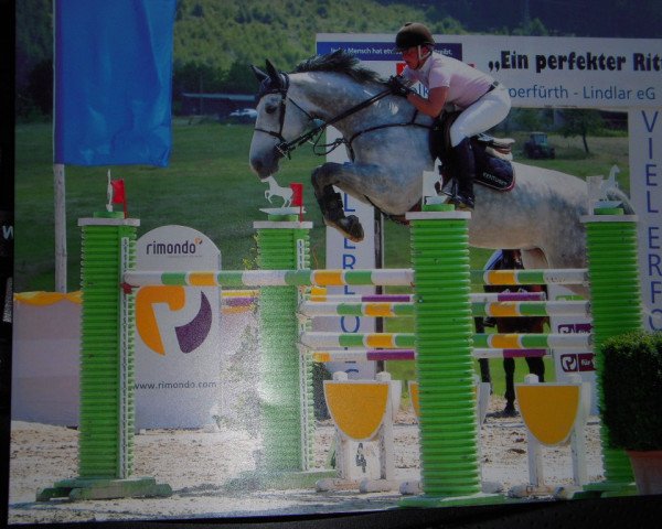 jumper Chicago Hope (Westphalian, 2006, from Candidatus)