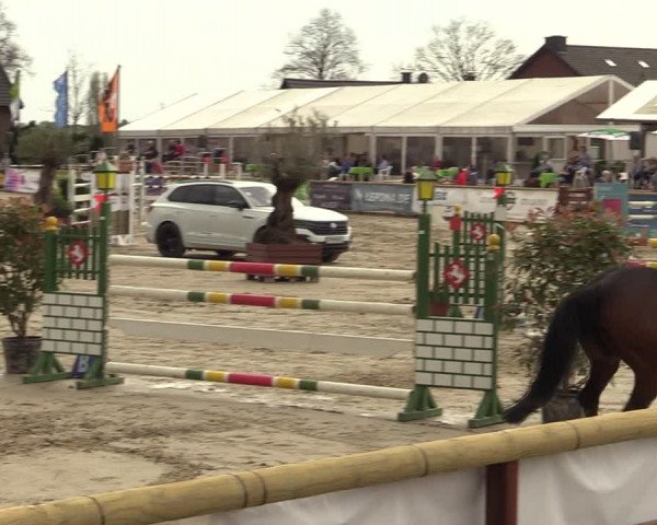Lenklarer Reitertage 2022 (Werne)