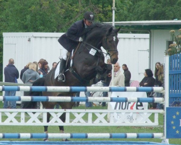 Springpferd Go Getter TW (Hannoveraner, 2001, von Graf Grannus)