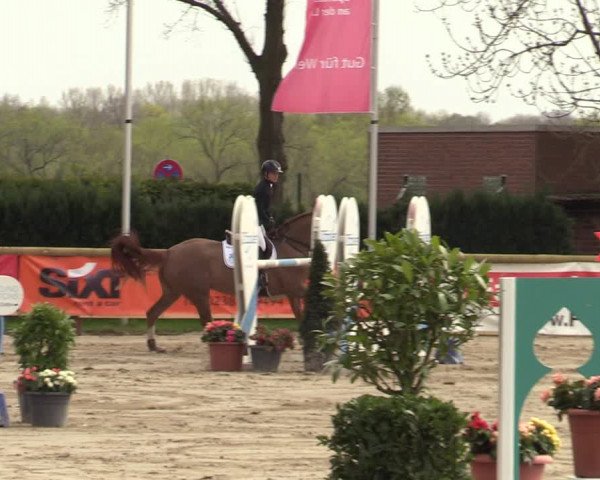 Lenklarer Reitertage 2022 (Werne)
