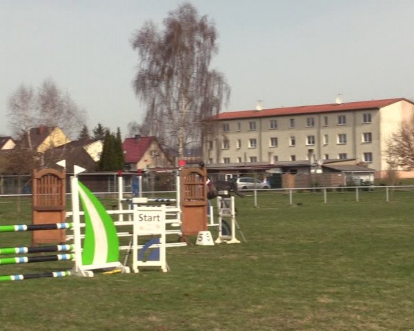 Reitturnier Großwoltersdorf 2022