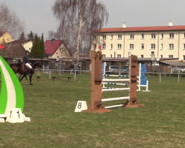 Reitturnier Großwoltersdorf 2022