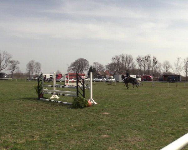 Reitturnier Großwoltersdorf 2022