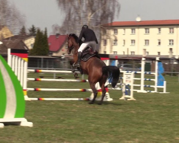 Reitturnier Großwoltersdorf 2022