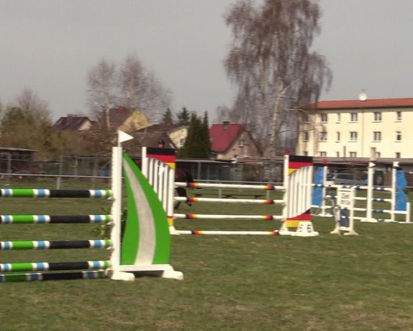 Reitturnier Großwoltersdorf 2022