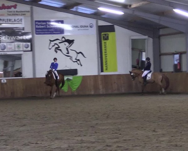 Reitturnier Dohren 2022
