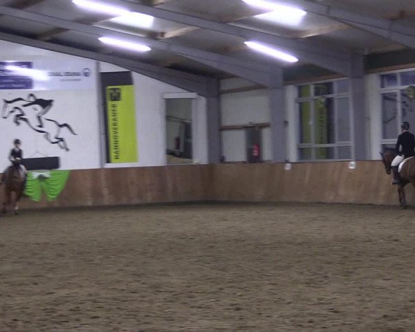 Reitturnier Dohren 2022