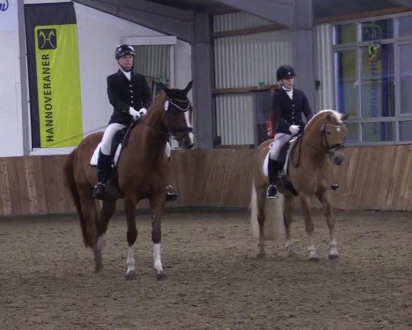 Reitturnier Dohren 2022