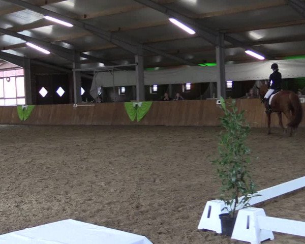 Reitturnier Dohren 2022