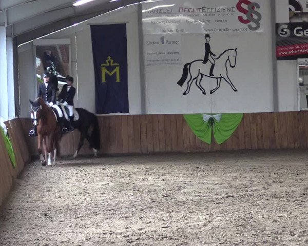 Reitturnier Dohren 2022