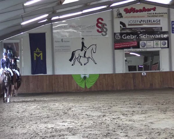Reitturnier Dohren 2022